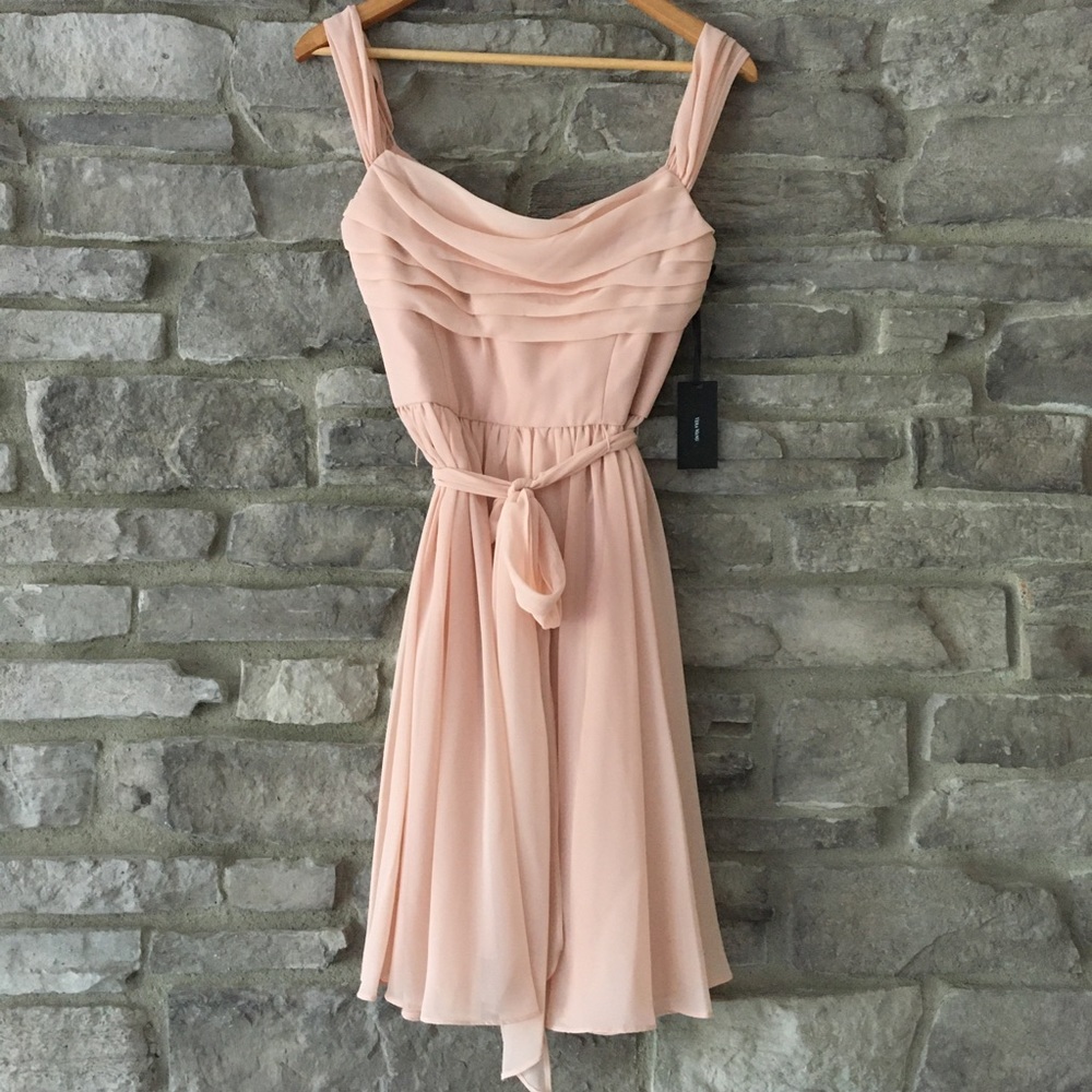 🌸Price Drop!🌸 Vera Wang Blush Knee-Length Dress